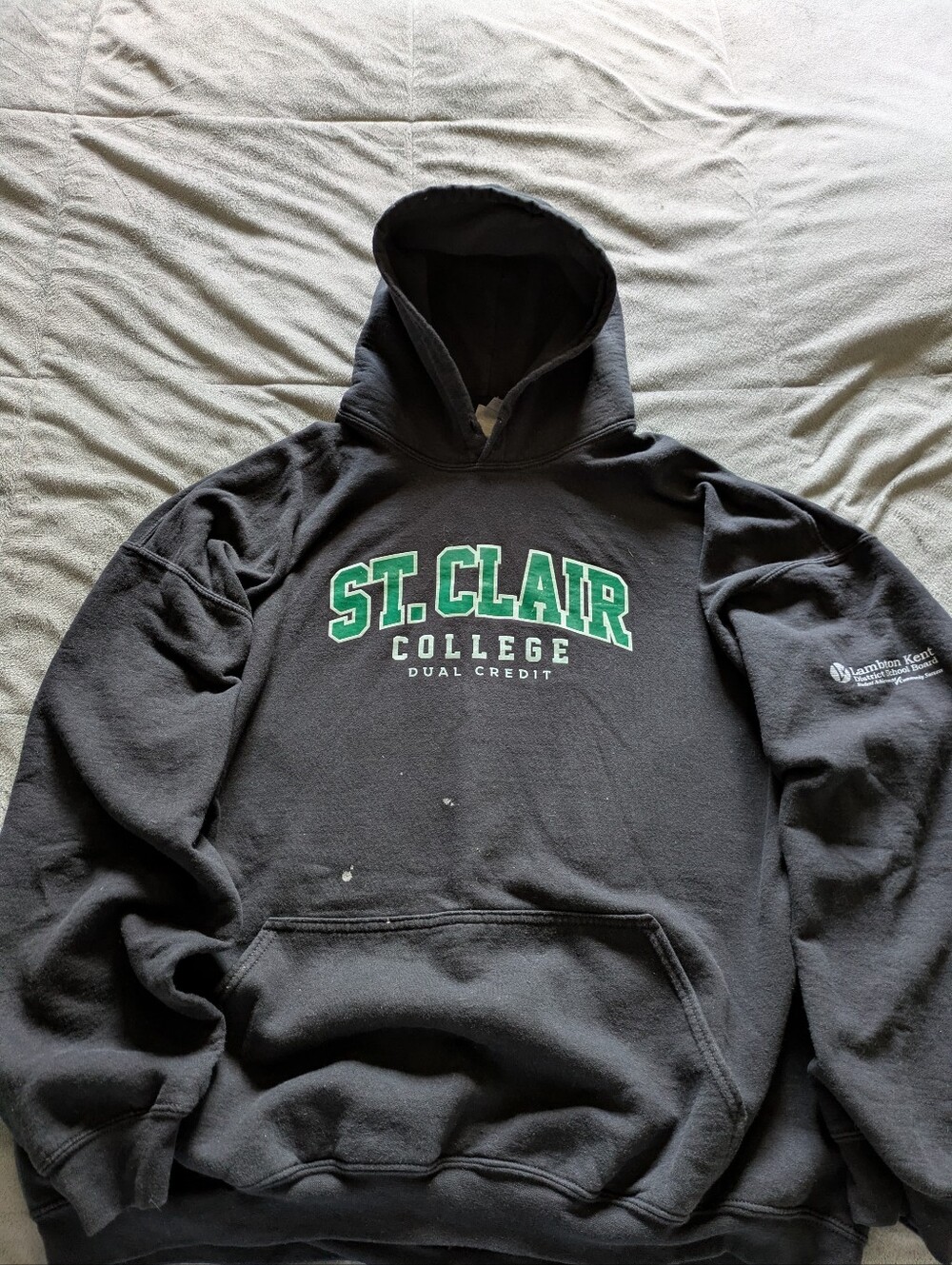 College Hoodie, Gildan Black Hoodie with Green and White Lettering.